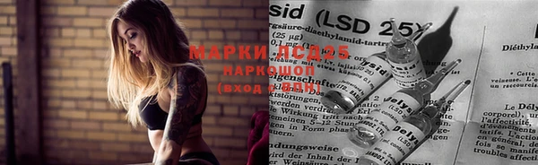 эйфоретик Михайлов