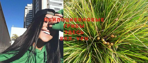 мяу мяу мука Мегион