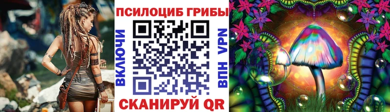 Галлюциногенные грибы Psilocybine cubensis  Купить где  Реутов 